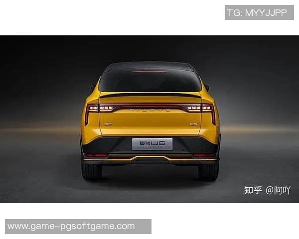 pg电子极速赢家-pg电子极速赢家